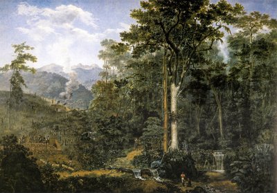 Vista de un bosque virgen reducido a carbón de Felix Taunay, Baron of Taunay
